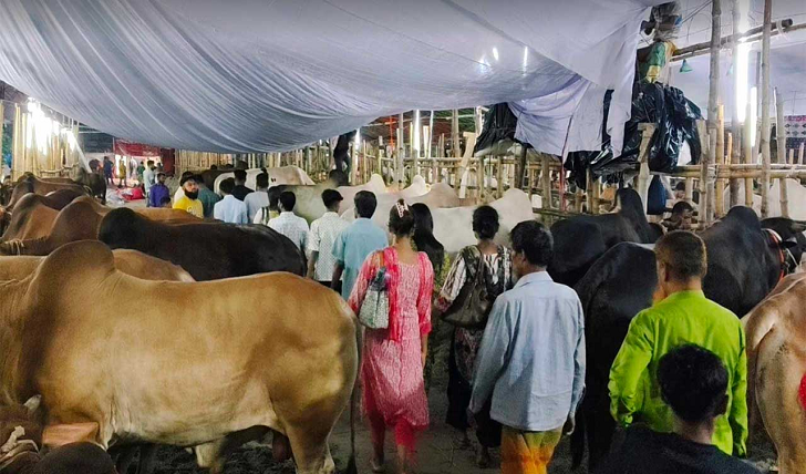 বড় গরুতে দর্শনার্থী, ছোট গরুতে মিলছে ক্রেতা